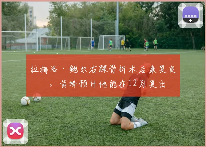 拉梅洛·鲍尔右踝骨折术后康复良好，黄蜂预计他能在12月复出