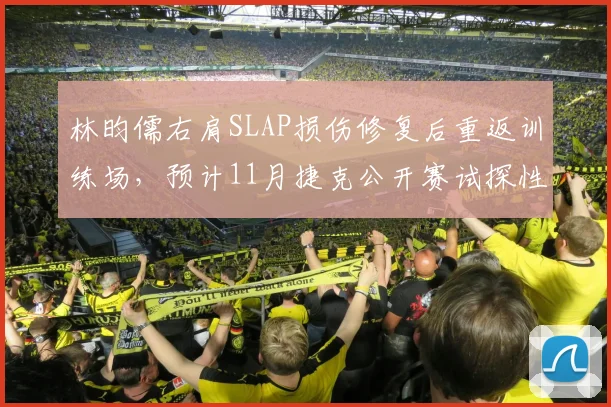 林昀儒右肩SLAP损伤修复后重返训练场，预计11月捷克公开赛试探性参赛